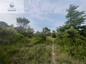 terrain à la vente -   34570  PIGNAN, surface 0 m2 vente terrain - ESC67086